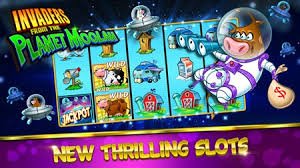 Casino-style games and virtual entertainment on apk 13 platform